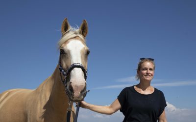 ‘Ik wil nooit een eigen paard!’