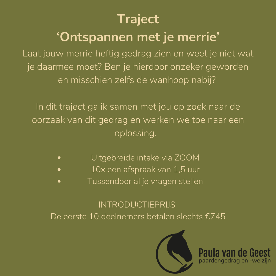 Kopie van Insta posts (1)