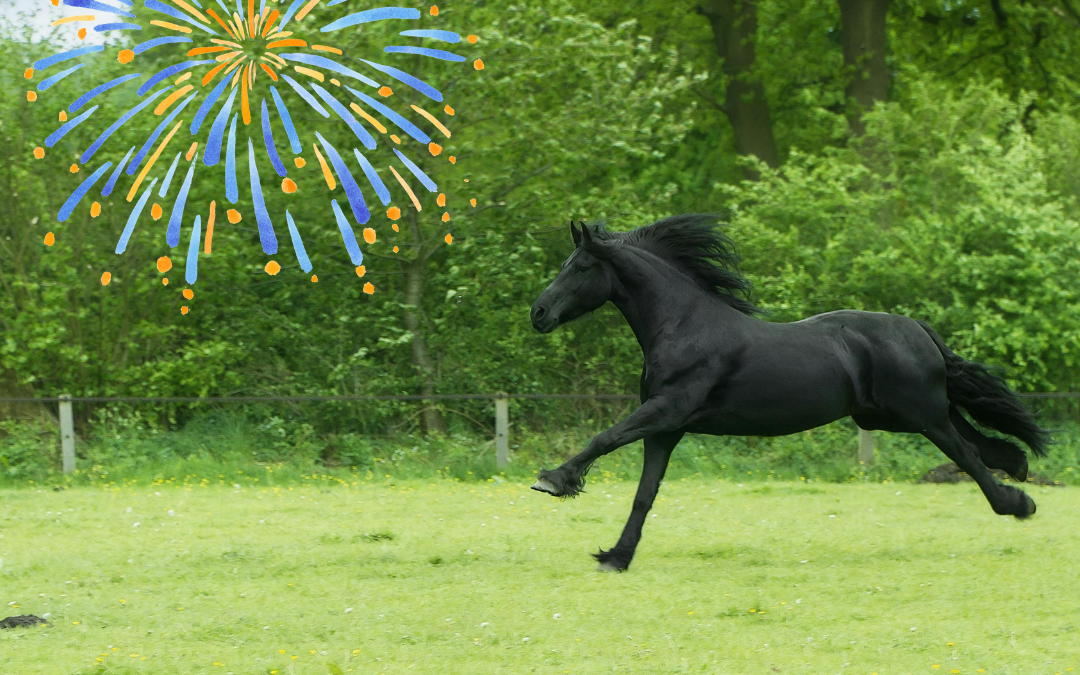 Vuurwerk en paarden: zo beperk je de stress