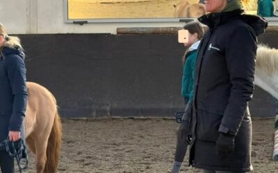 Ik ga stoppen met losse lessen…